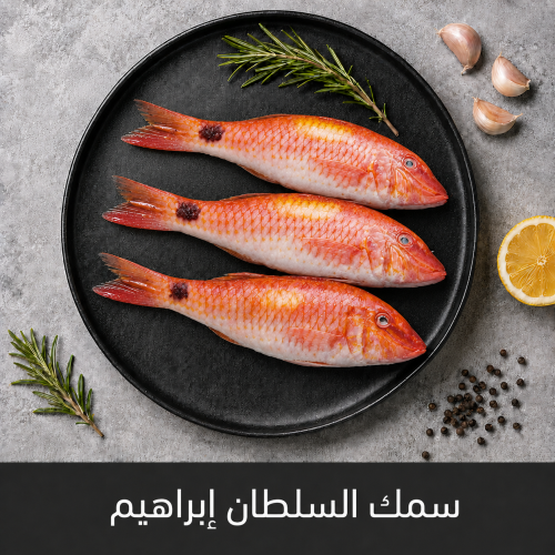 1 كيلو سمك سلطان ابراهيم
