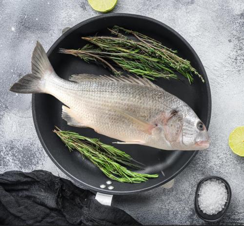 1 كيلو سمك سبيطي