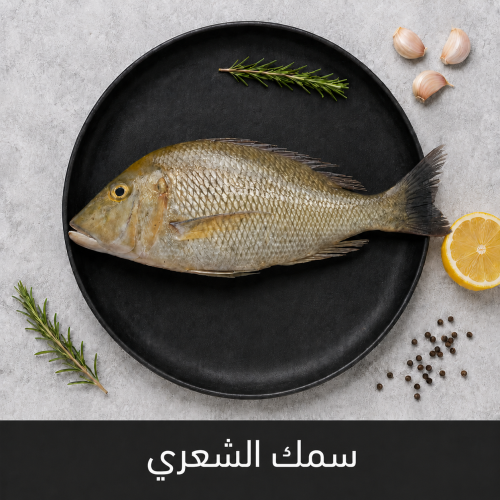 1 كيلو سمك شعور