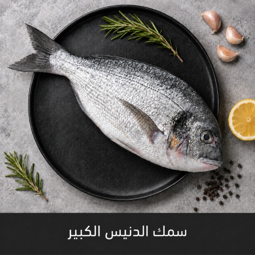 سمك دنيس كبير