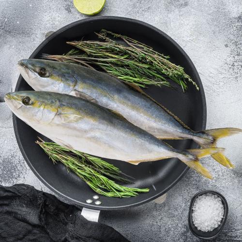 1 كيلو سمك البياض - حمام