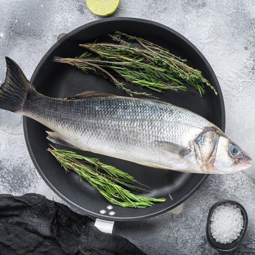 1 كيلو سمك سيباس أوربي