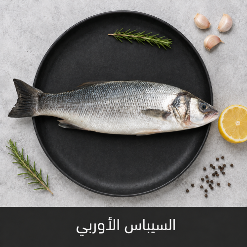1 كيلو سمك سيباس أوربي