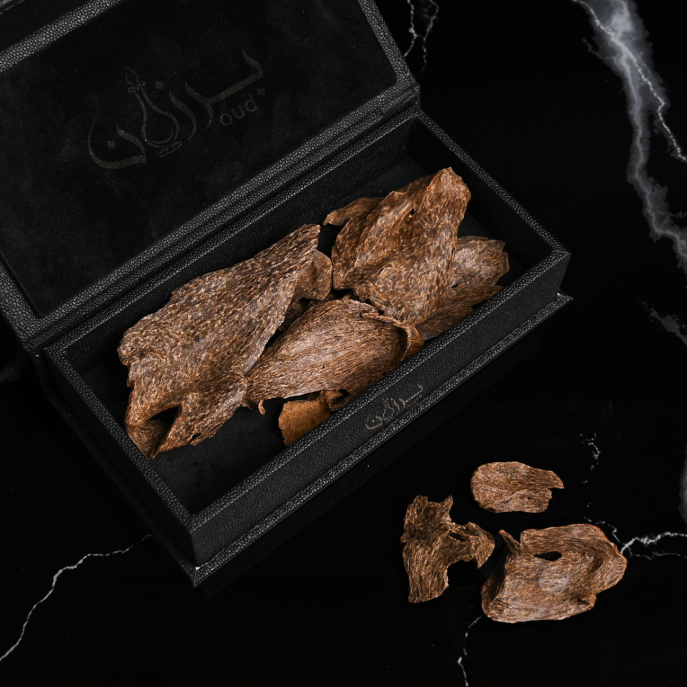 أفضل أنواع العود بالترتيب