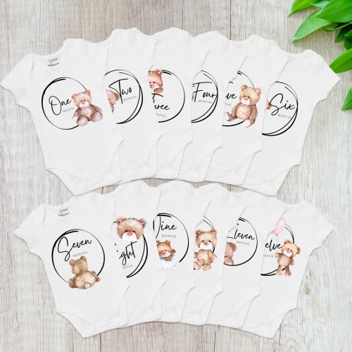 Set of 12 - Teddy bear