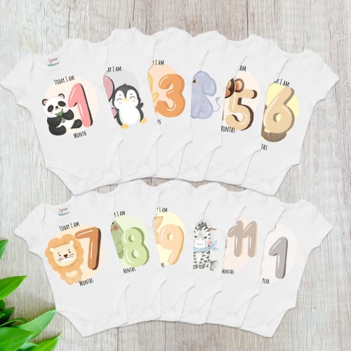 Set of 12 - Animals (2)