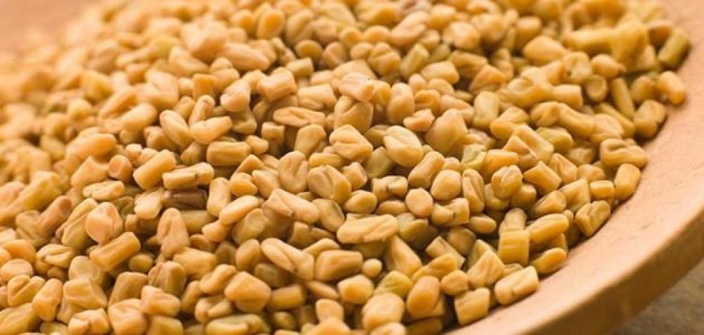 (الحلبة) تتعارض مع أدوية السكري وسيولة الدم والكولسترول والنساء الحوامل