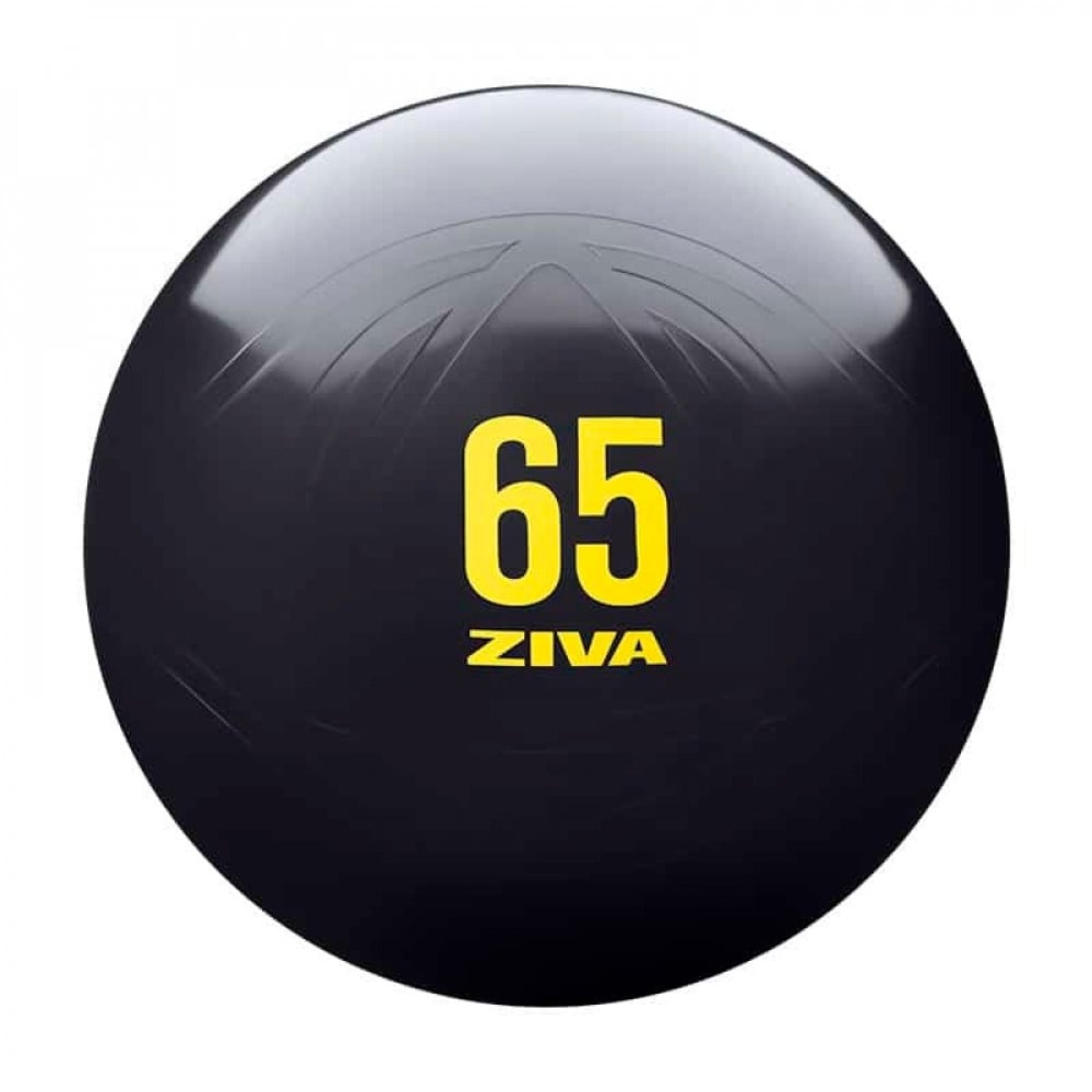 ZIVA Anti-Burst Exercise Ball With Ball Pump - FAASporta