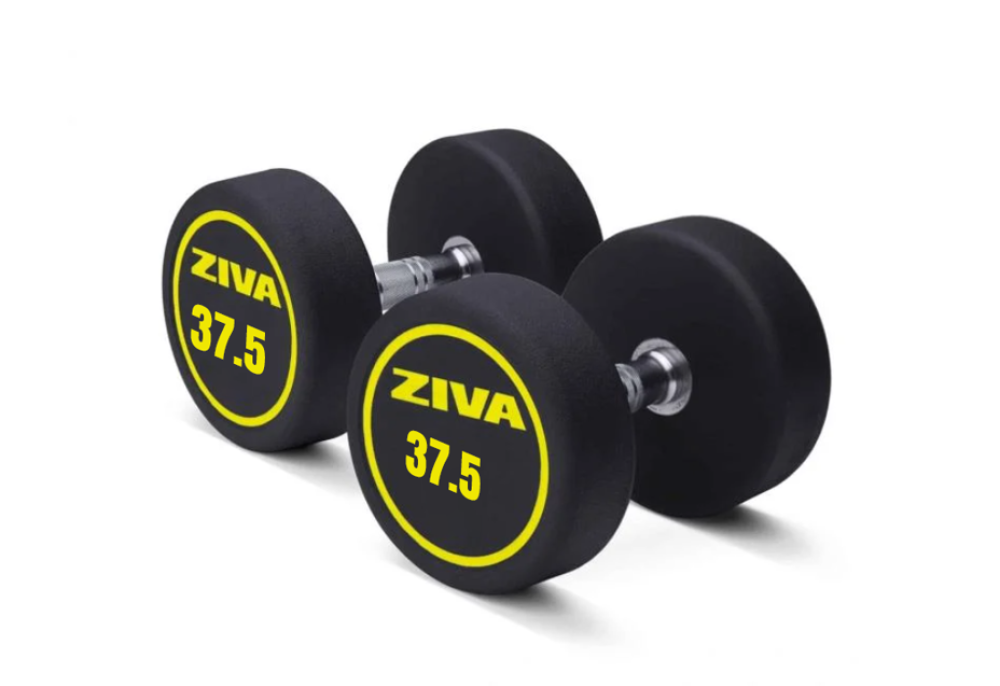 ZIVA Performance Rubber Dumbbells 37.5 kg