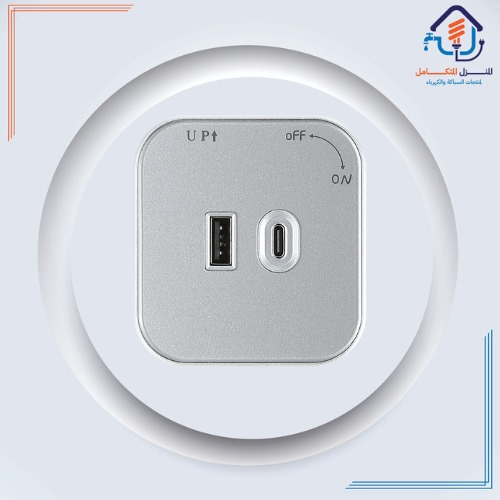 راس فيش مجرى مربع فضي مجوز USB+TYPE-C توفل