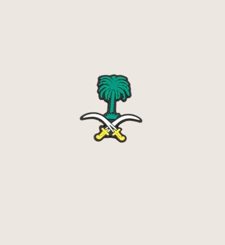 سيفين و نخله ٢