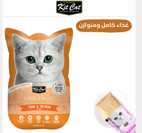 اظرف كتكات تونه وسالمون