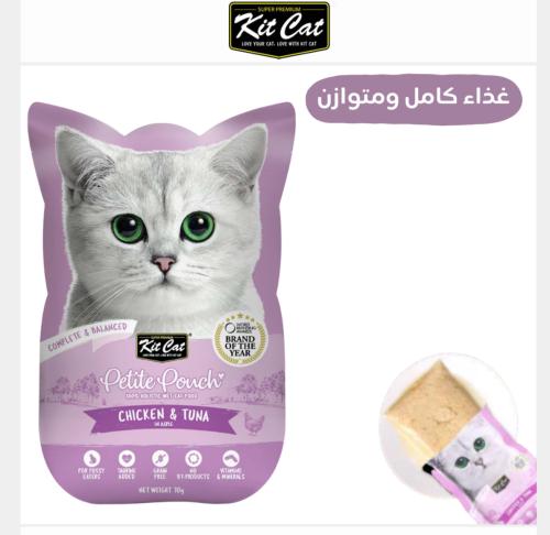 اظرف كتكات بالدجاج