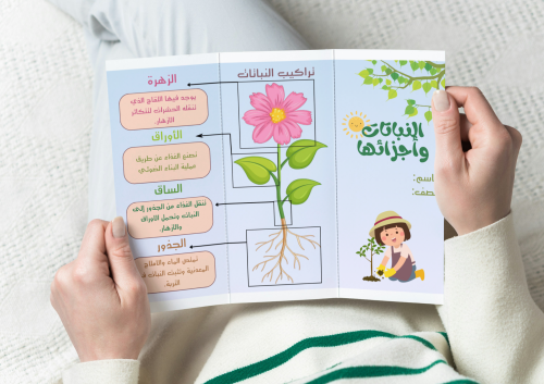 مطوية مادة العلوم ( النباتات وأجزائها) الصف ثالث ا...