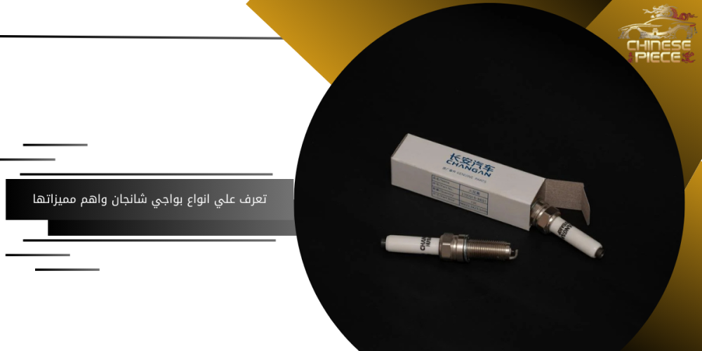 انواع بواجي شانجان