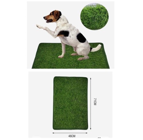 Fake dog training grass