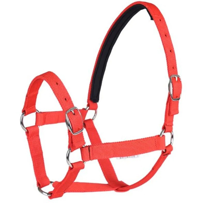 Red XS