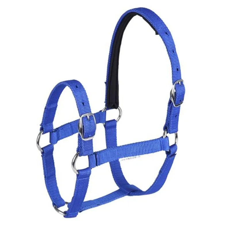 Blue M