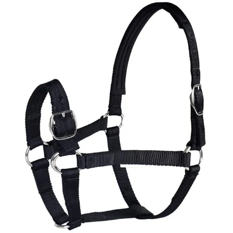 Black L