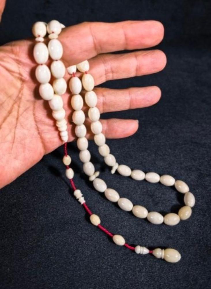 عضم الجمل فخامة الصحراء بين يديك