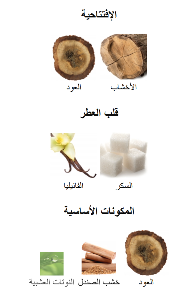 أمير العود أنتنس عود - AMEER ALOUD INTENSE OUD