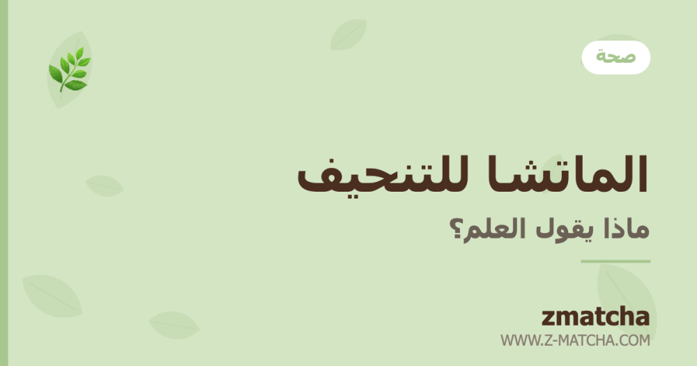 الماتشا للتنحيف: ماذا يقول العلم فعلاً؟ (بدون مبالغات)