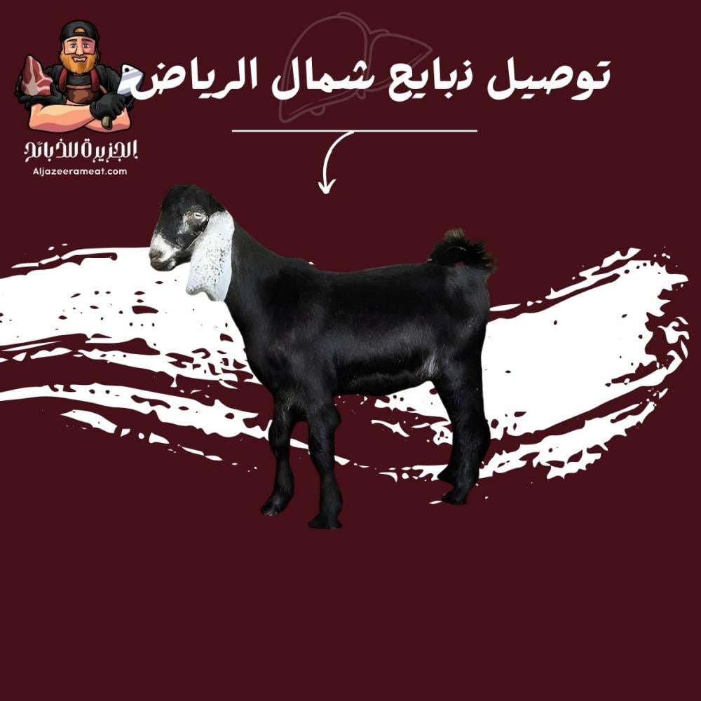 توصيل ذبايح شمال الرياض