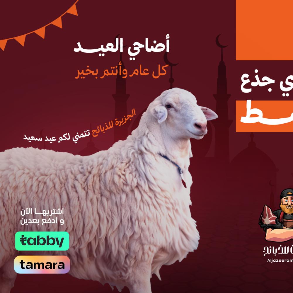 اضاحي اقساط