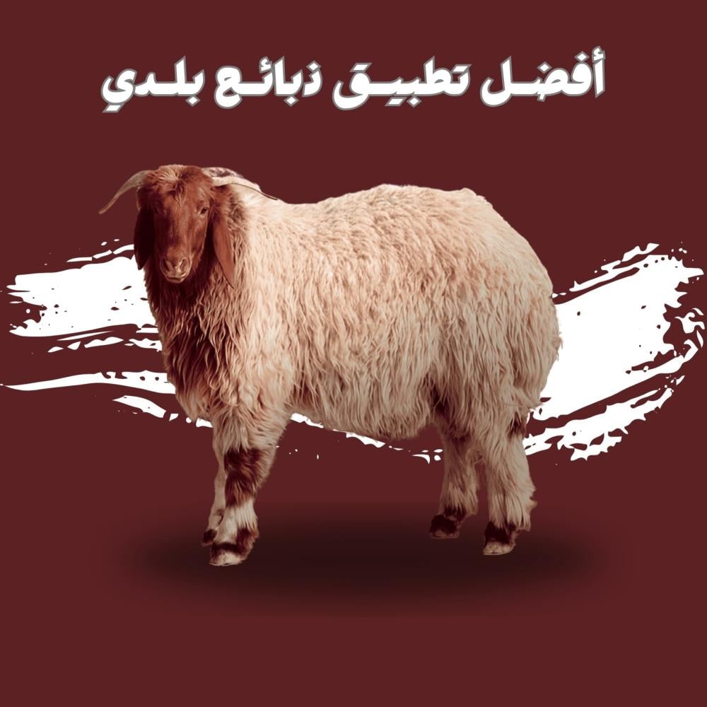 ذبايح رمضان