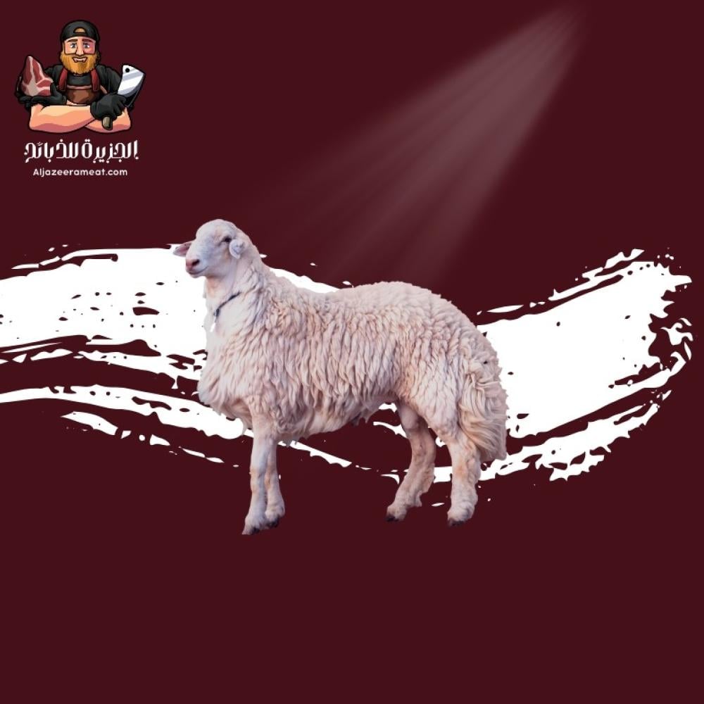 ذبايح الجنوب