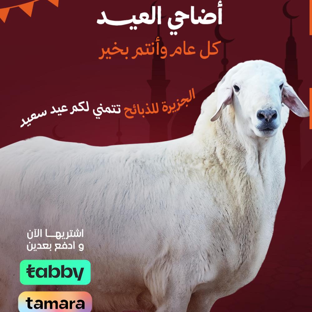 أضاحي تمارا بالرياض