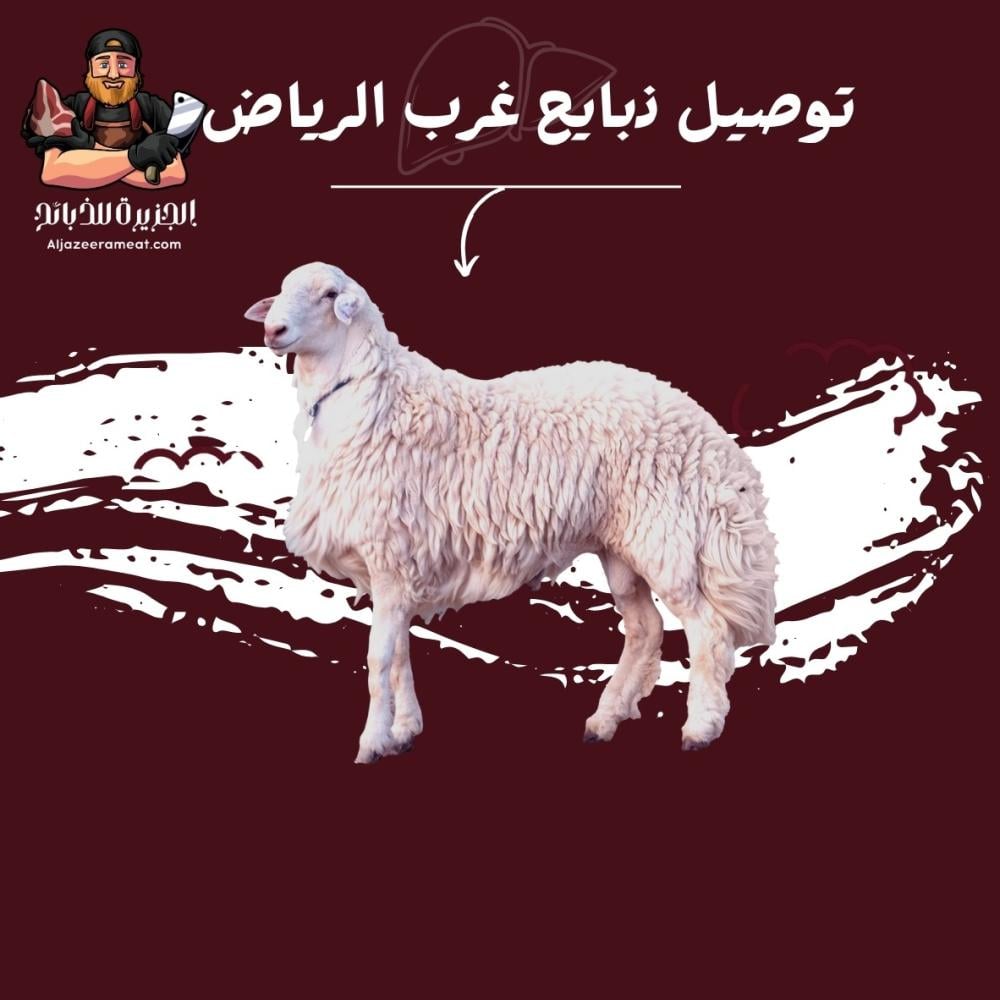 ذبايح شرق الرياض