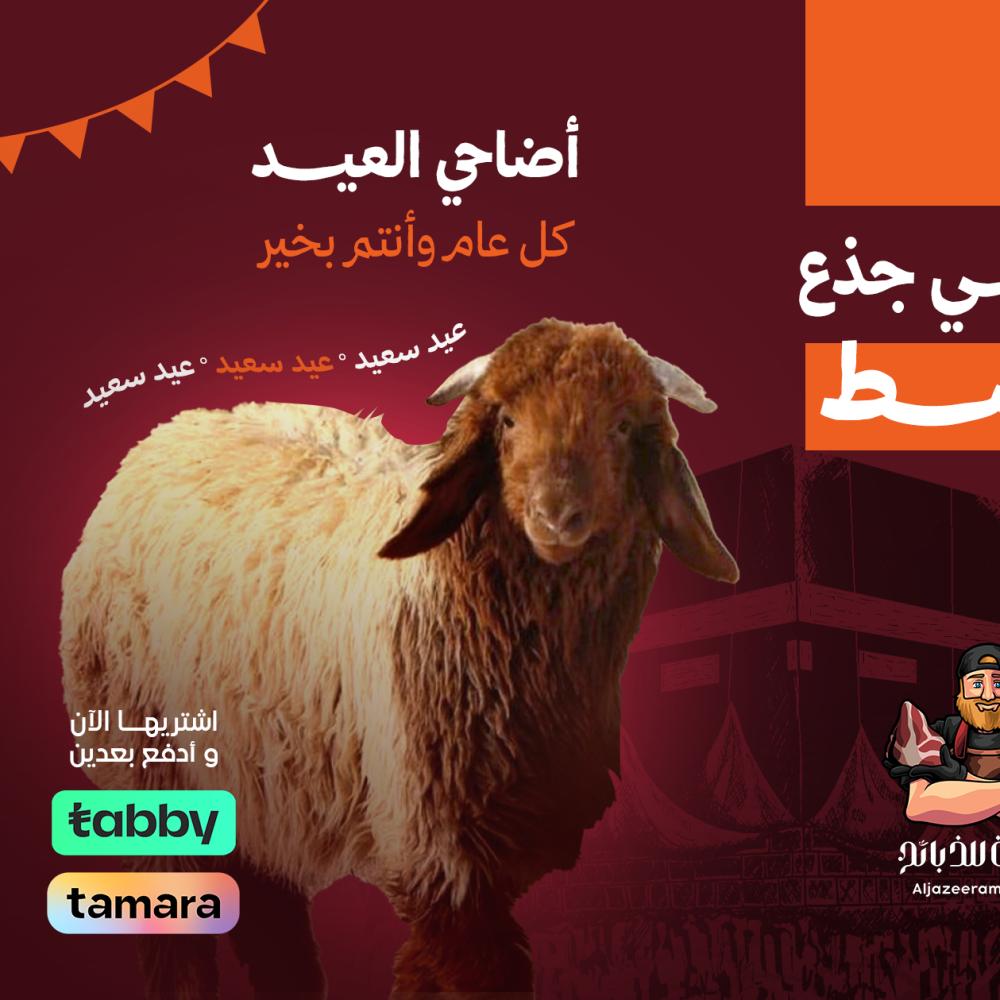 أضاحي القصيم