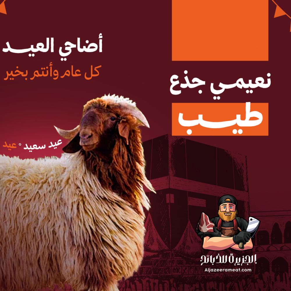 اضاحي نعيمي جذع طيب