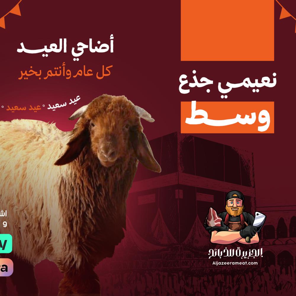 اضاحي نعيمي بلدي بالرياض