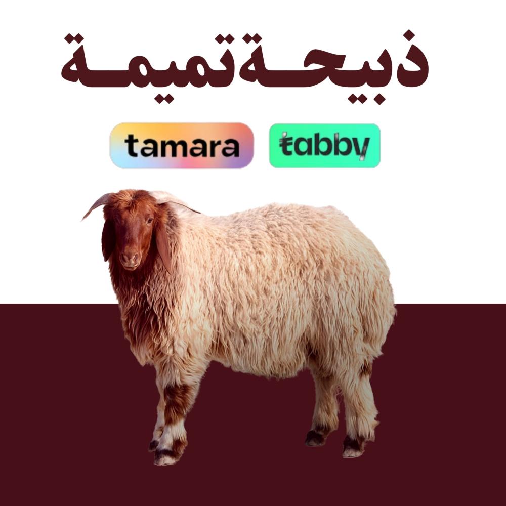 ذبيحة عقيقة بالرياض