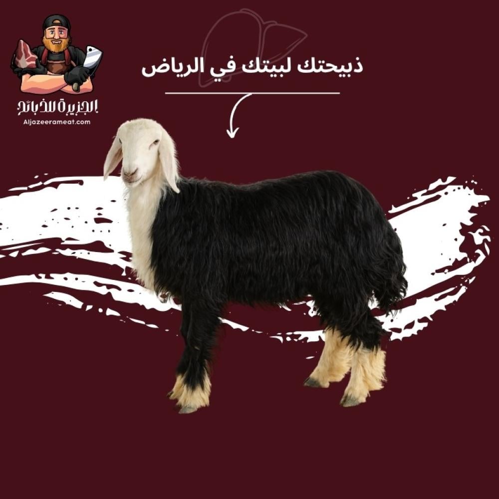 ذبيحتك لبيتك في الرياض