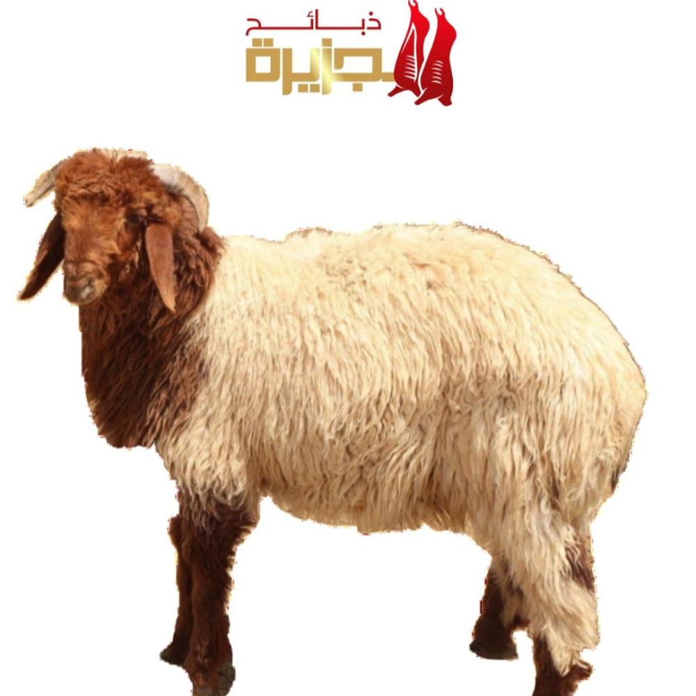 ذبايح نعيمي بالرياض