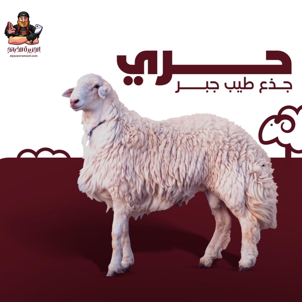 توصيل ذبايح جنوب الرياض