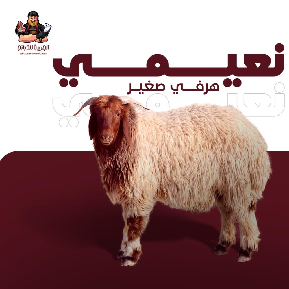 أفضل عروض الذبائح الرياض