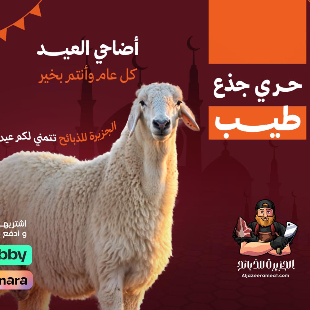 الأضاحي في الرياض: دليلك لاختيار أفضل الذبائح من تطبيق الجزيرة