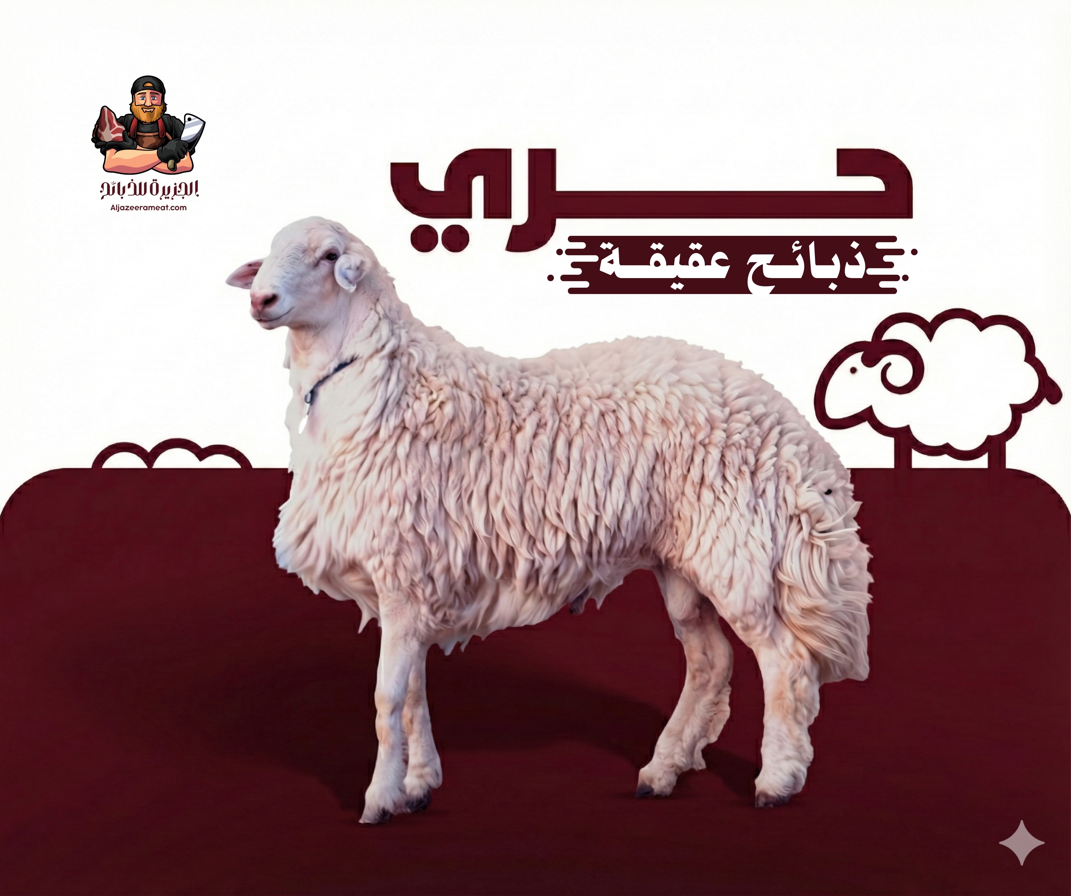 ذبائح عقيقة بلدي