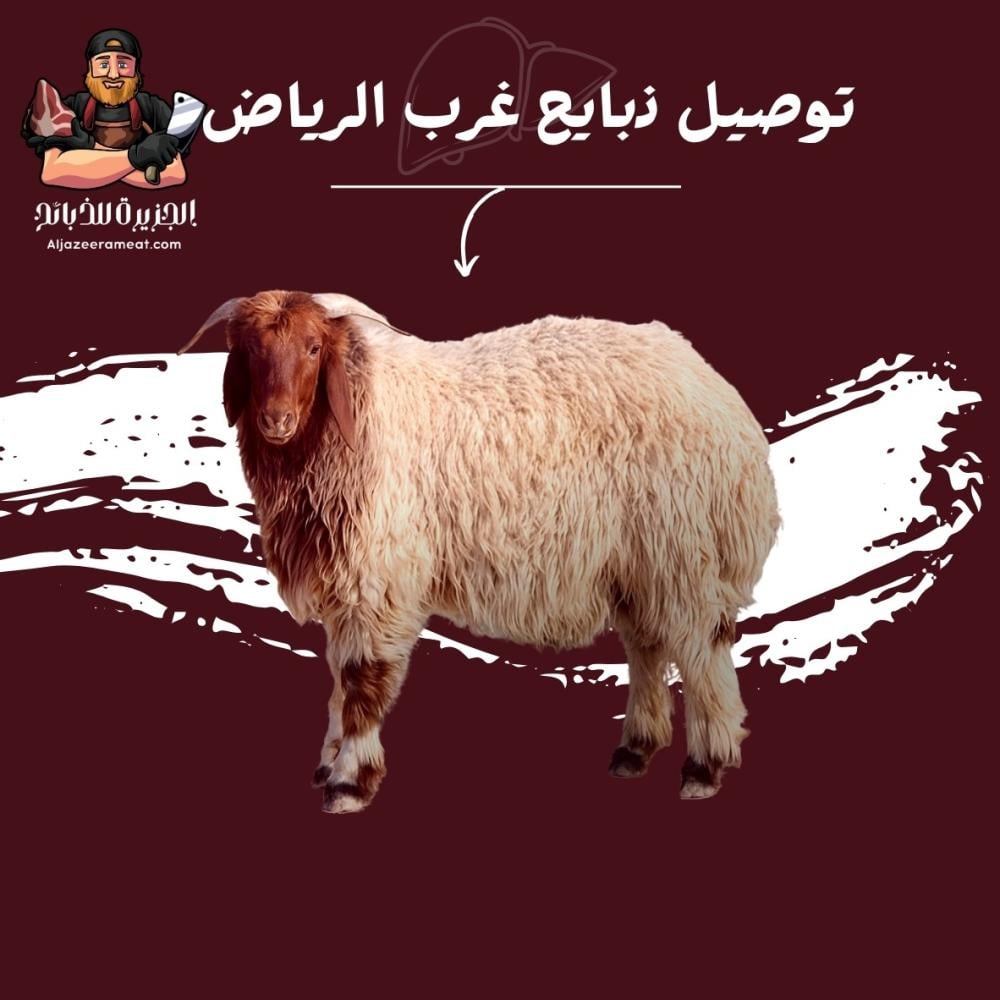توصيل ذبايح غرب الرياض
