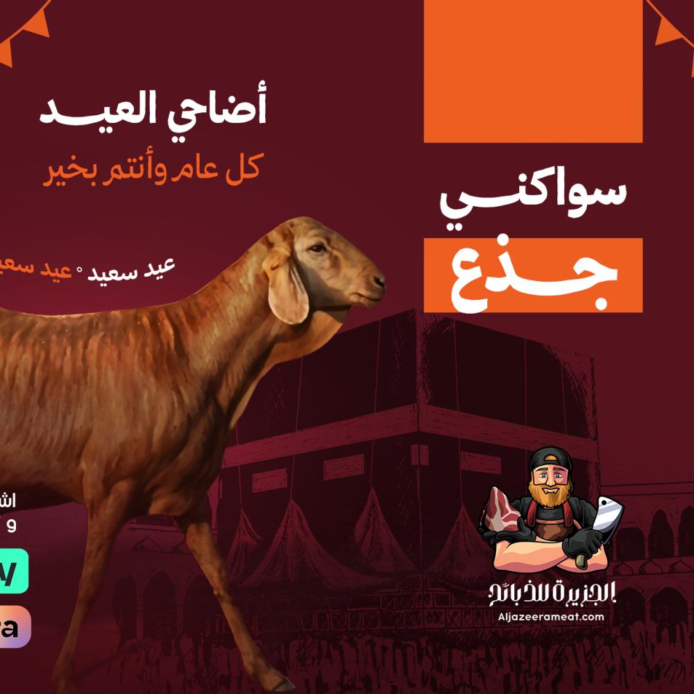 اضاحي سواكني مرابي بالرياض والخرج