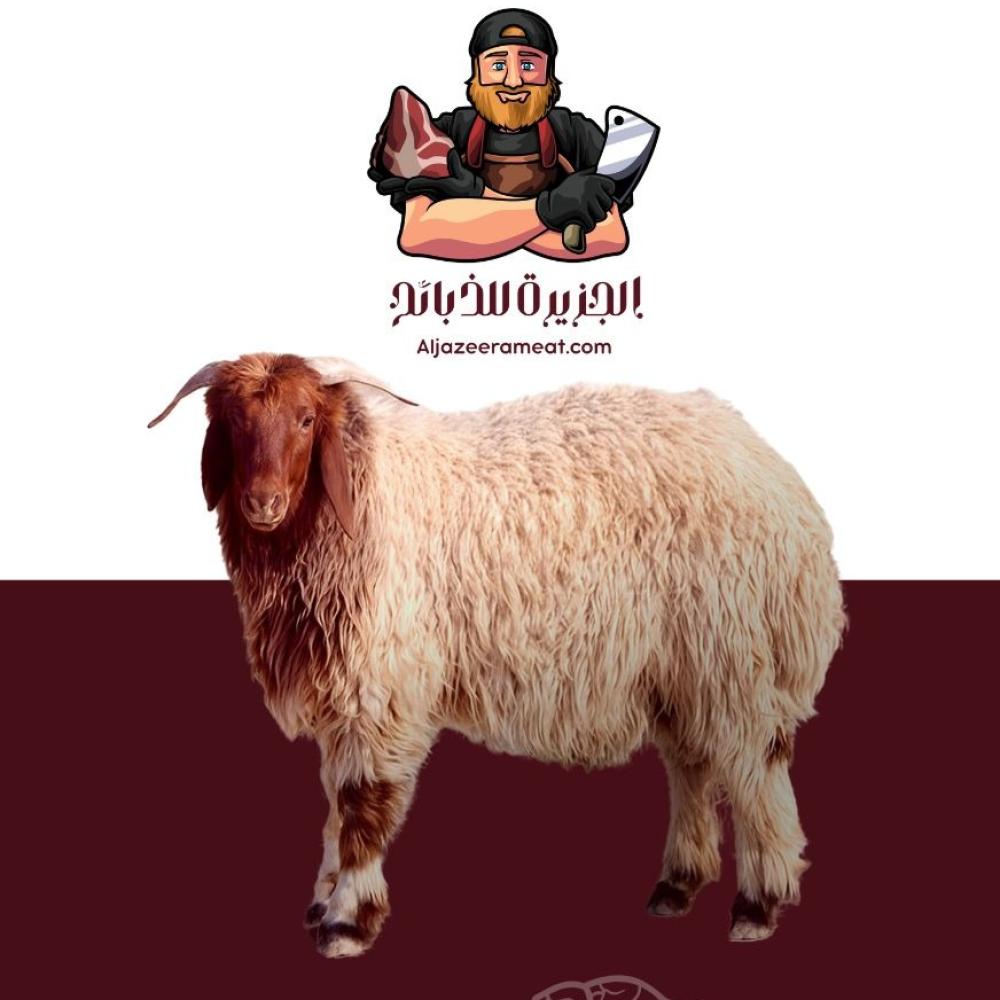 ذبايح العقيقة والتمائم في الرياض