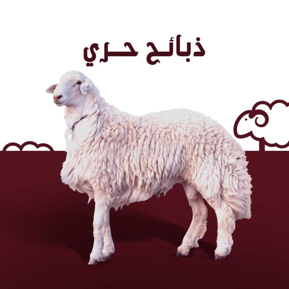 ذبايح للمناسبات والزواجات