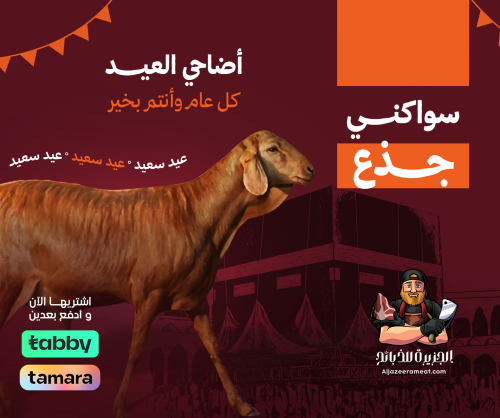 اضاحي العيد سواكني جذع طيب