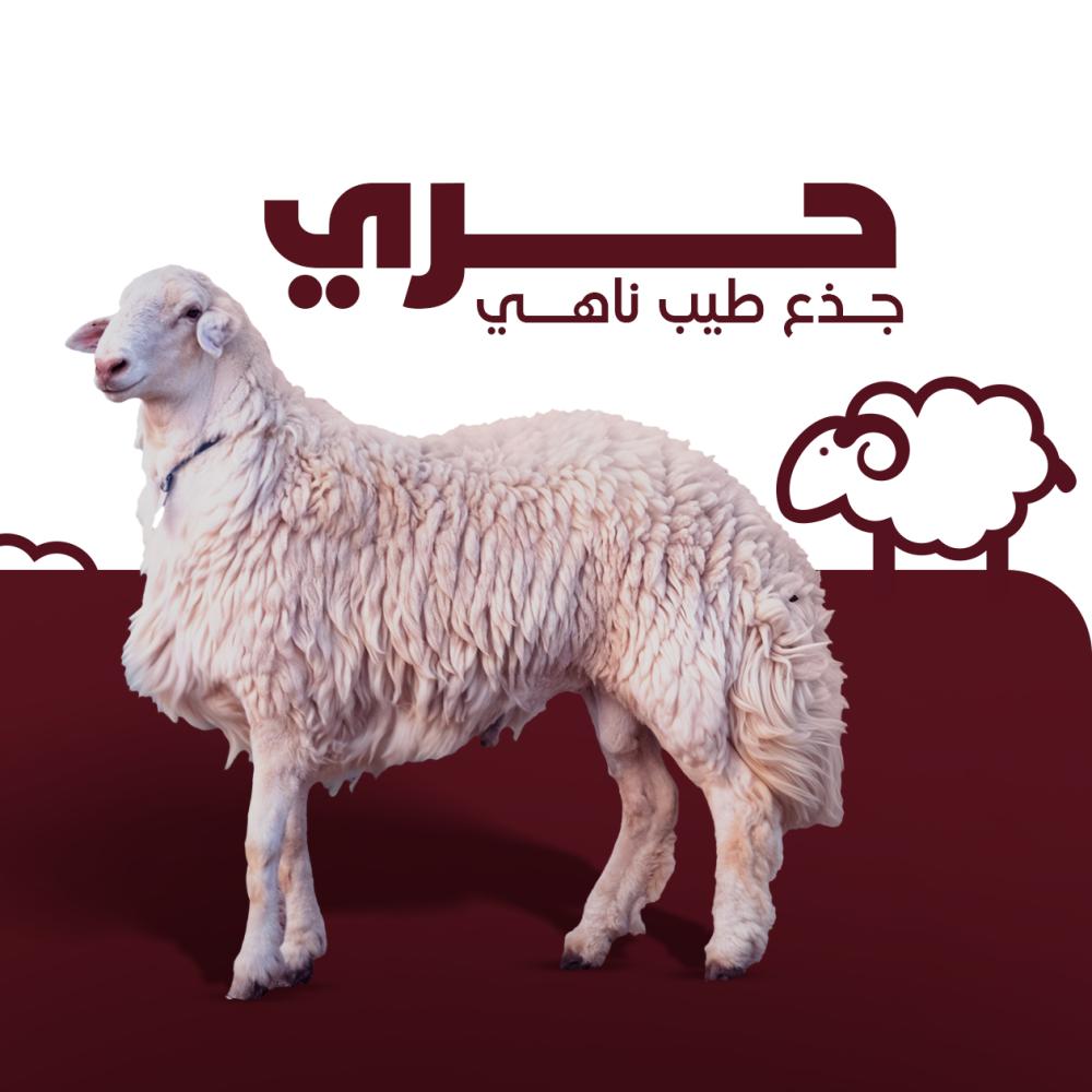 ذبيحة كاملة