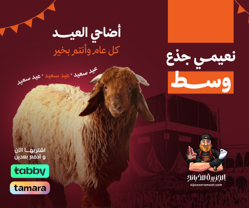 اضاحي العيد نعيمي جذع وسط