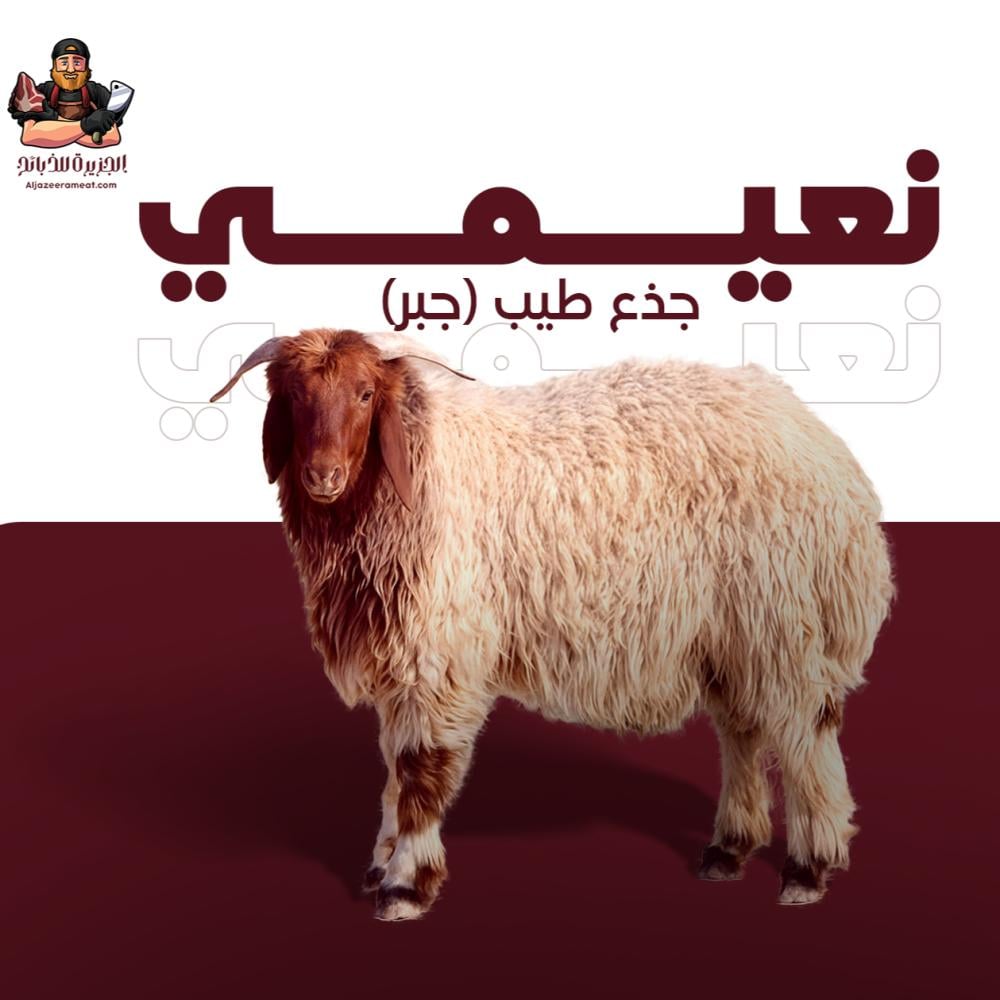 ذبايح الرياض ذبيحتك لبيتك